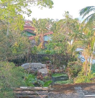 WhatsApp Image 2026-02-11 at 19.09.58 (3)